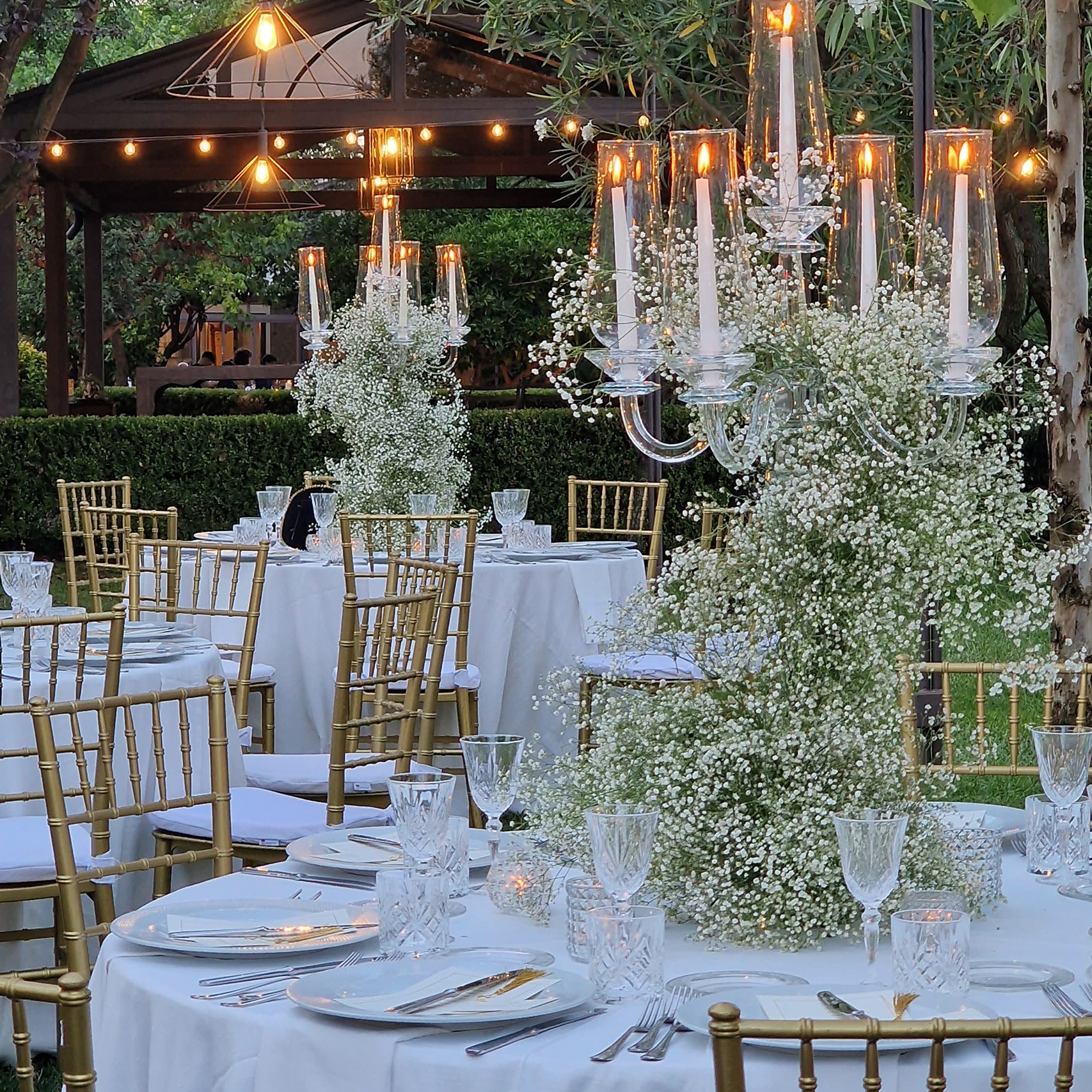 IMG-20240810-WA0036-min